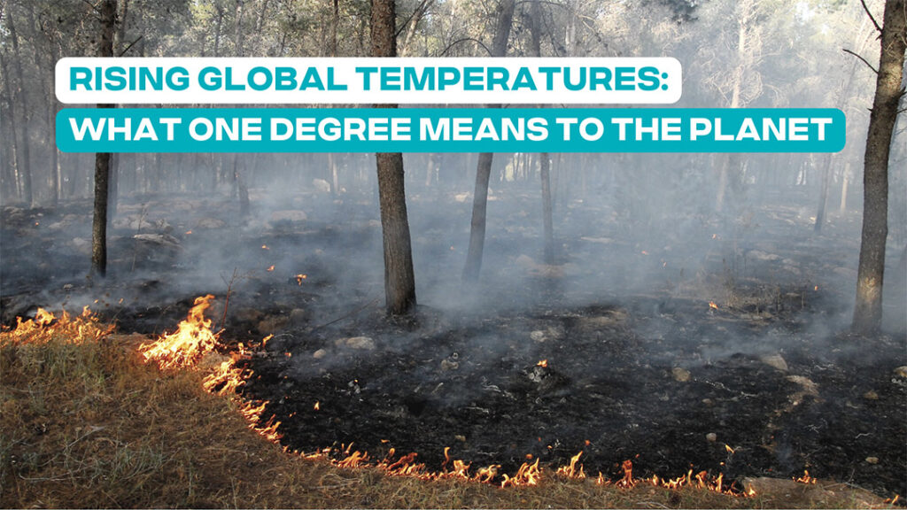 Rising Global Temperatures: What One Degree Means to the Planet
