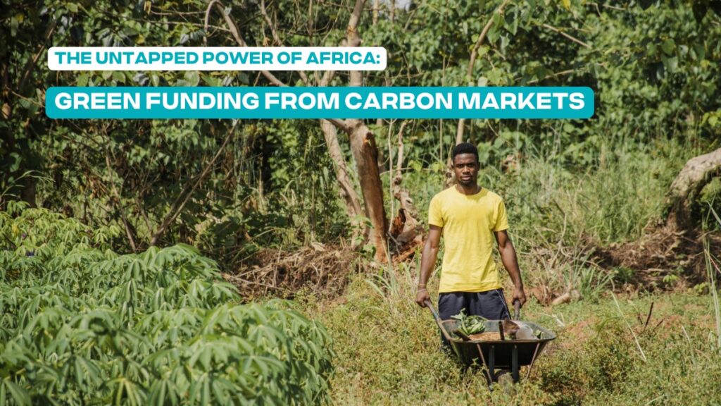 The Untapped Power of Africa: How Carbon Markets Are Funding a Green Future
